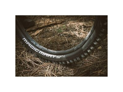 Schwalbe Magic Mary Evo S/Gravity U-Soft TLE 29x2.4 Fold click to zoom image