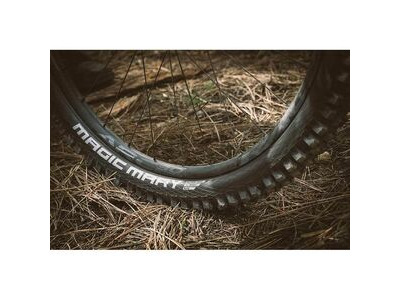 Schwalbe Magic Mary Snakeskin Soft TLE 29x2.60 Fold click to zoom image