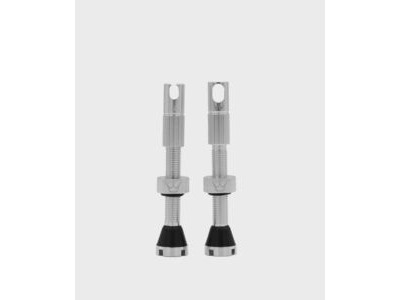 Peaty's x Chris King Tubeless MK2 Valves 42mm Silver
